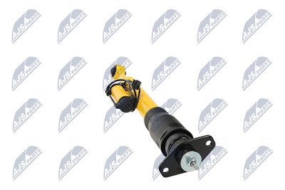 AMORTIZOR NTY ACH124 33