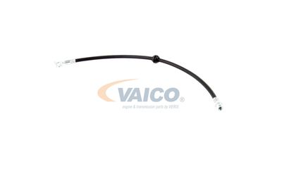 FURTUN FRANA VAICO V201909 15