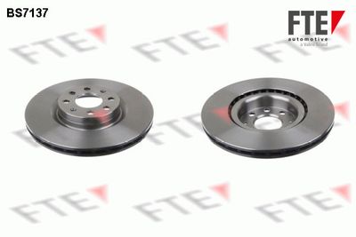 Тормозной диск FTE 9072602 для FIAT GRANDE