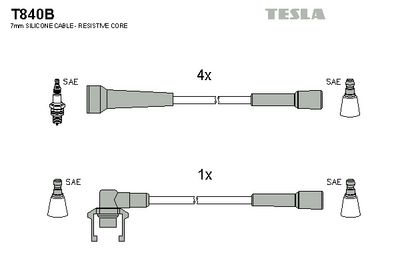 SET CABLAJ APRINDER TESLA T840B