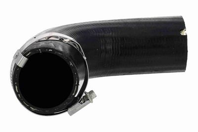 FURTUN EAR SUPRAALIMENTARE