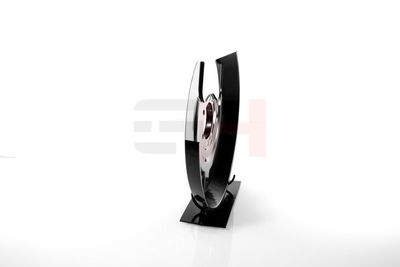 PROTECTIE STROPIRE DISC FRANA GH GH489915V 15