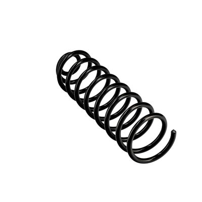 ARC SPIRAL EIBACH R10587 11