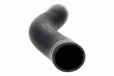 FURTUN EAR SUPRAALIMENTARE ACKOJA A380297 5