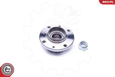 Wheel Bearing Kit 29SKV197