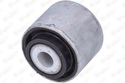 RULMENT DIFERENTIAL BIRTH 20002 2