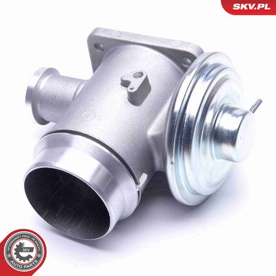 SUPAPA EGR ESEN SKV 14SKV176 3
