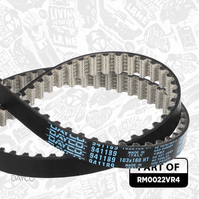 SET CUREA DE DISTRIBUTIE ET ENGINETEAM RM0022VR4 8