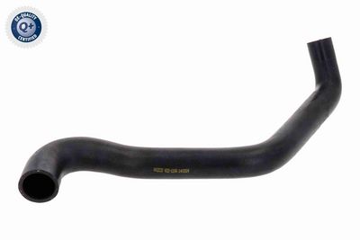 FURTUN RADIATOR VAICO V221166 1