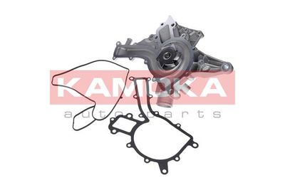Water Pump, engine cooling T0188