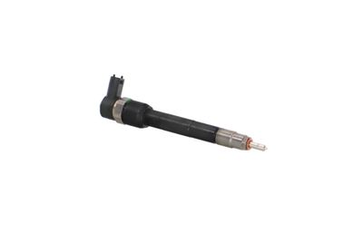 INJECTOR REMANTE 002003001160R 44