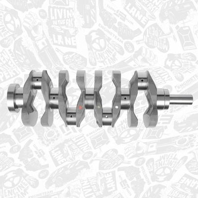 ARBORE COTIT ET ENGINETEAM HK0164 5