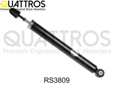 Amortyzator DAVID VASCO RS3809