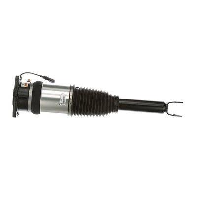 LUFTFEDERBEIN Arnott AS2968 52