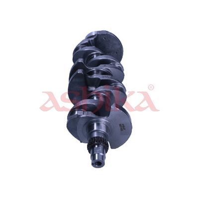 ARBORE COTIT ASHIKA 18HY002 2