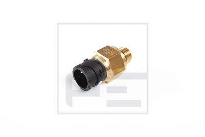 PE Automotive Sensor, pneumatisch systeem (080.463-00A)