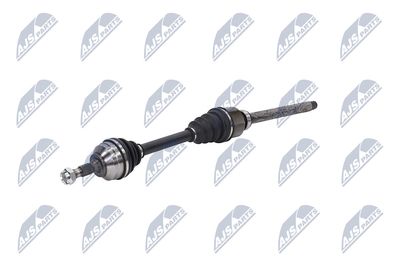 PLANETARA NTY NPWPE081 20