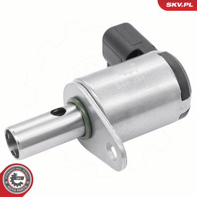 Řídicí ventil, seřízení vačkového hřídele ESEN SKV 39SKV089