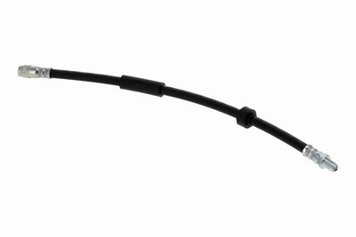 FURTUN FRANA VAICO V461474 2