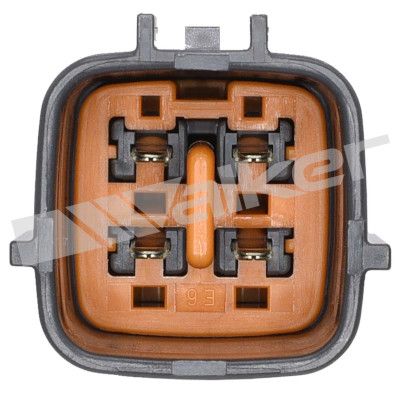 LAMBDASONDE WALKER PRODUCTS 25024863 2