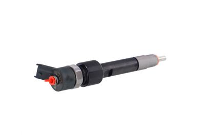INJECTOR REMANTE 002003001695R 34