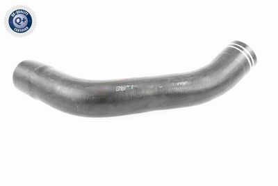 LADELUFTSCHLAUCH VAICO V240712 5