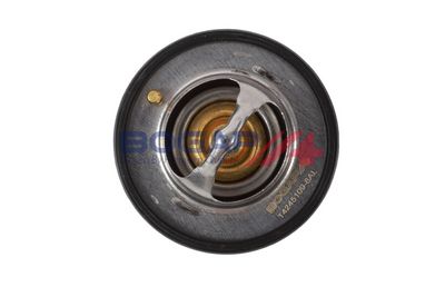 TERMOSTAT LICHID RACIRE BOGAP T4245109 2