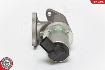 EGR Valve 14SKV054