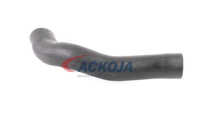 FURTUN EAR SUPRAALIMENTARE ACKOJA A379600 38