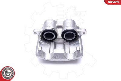 Brake Caliper 46SKV633