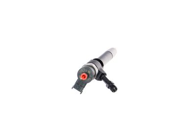 INJECTOR REMANTE 002003001319R 30