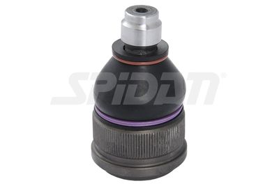 TRAG-/FüHRUNGSGELENK