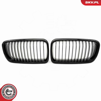 GRILA RADIATOR ESEN SKV 66SKV212 1