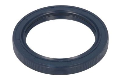 Achteras pruttelt (60x80x10mm)