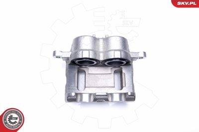 Brake Caliper 44SKV912