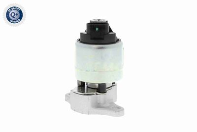 AGR-VENTIL VEMO V51630005 8