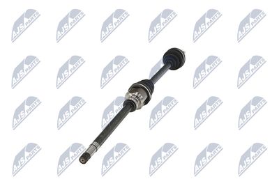 PLANETARA NTY NPWPE124 36