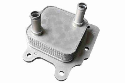 RADIATOR ULEI ULEI MOTOR