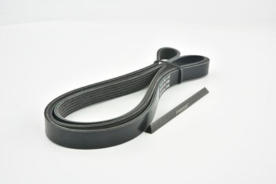 CUREA TRANSMISIE CU CANELURI FEBEST 881286L2100 44