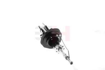 AMORTIZOR GH GH352387 22