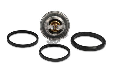 TERMOSTAT LICHID RACIRE HEPU TM1309 1