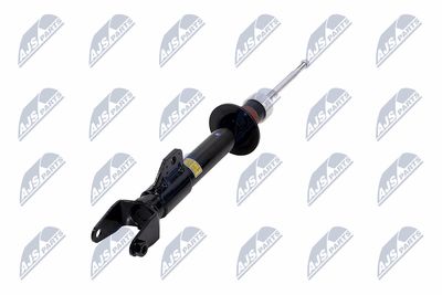AMORTIZOR NTY ACH119 19