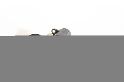 SENSOR FAHRPEDALSTELLUNG BOSCH 0206001020 18