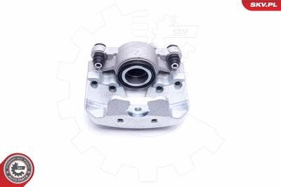 Brake Caliper 46SKV251