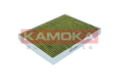 Filter, cabin air 6080031