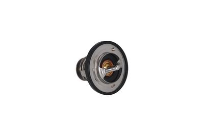 TERMOSTAT LICHID RACIRE