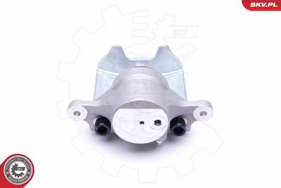 Brake Caliper 50SKV311