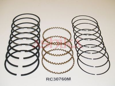 SEGMENT PISTON