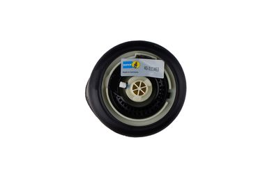 ARC PNEUMATIC DIRECTIE BILSTEIN 40311463 1