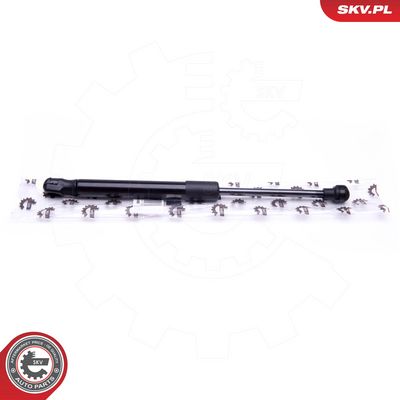 Dujinė spyruoklė, bagažinė